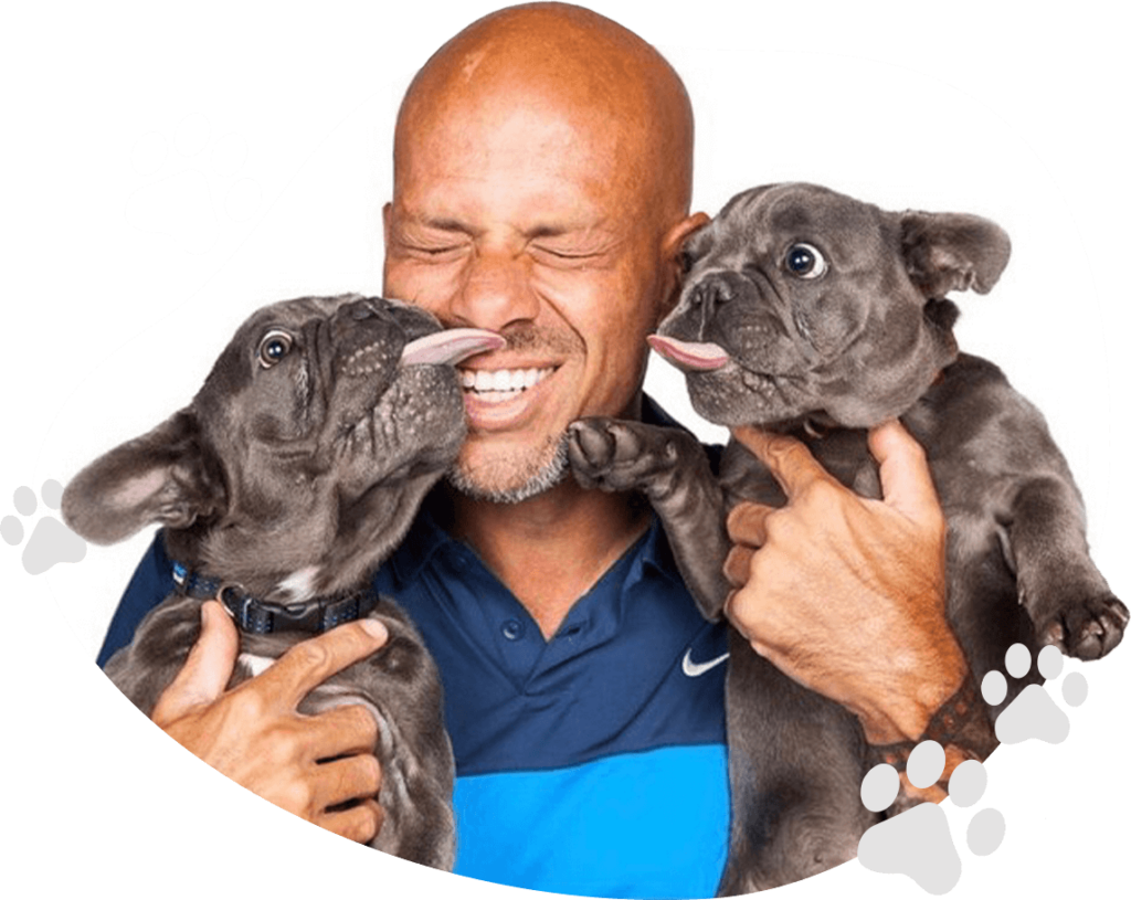 David with two gray French Bulldogs