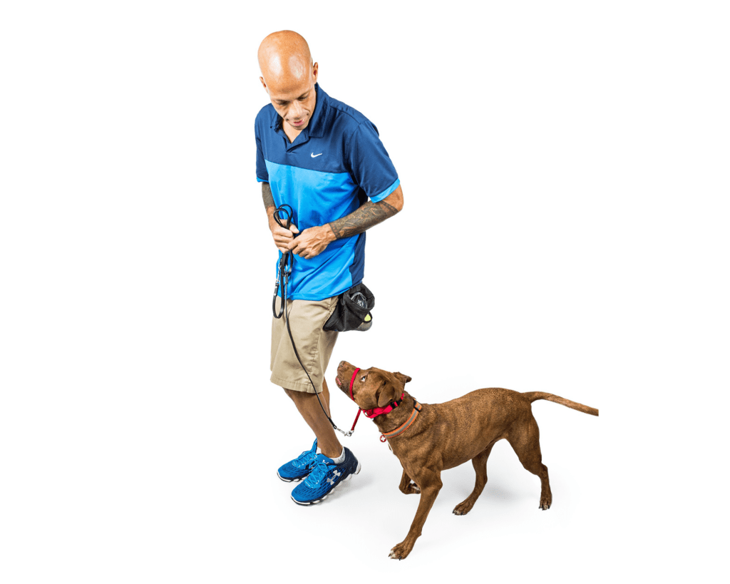 Trainer and Dog