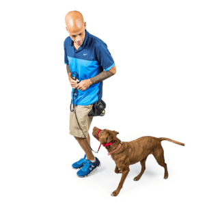 Trainer and Dog
